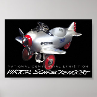 Póster Pursuit Plane Poster