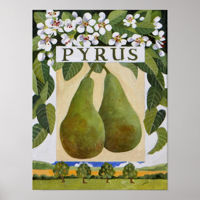 Póster Pyrus (Frente)
