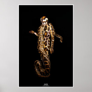 Póster Python de Johannes Stötter