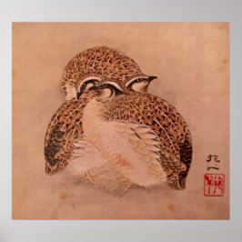 Póster Quail Trio