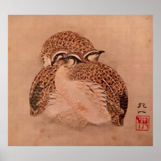 Póster Quail Trio