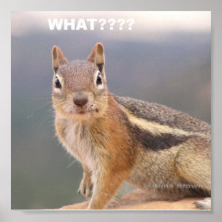 Póster ¿¿¿Qué???