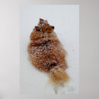 Póster ¿¿¿Qué???