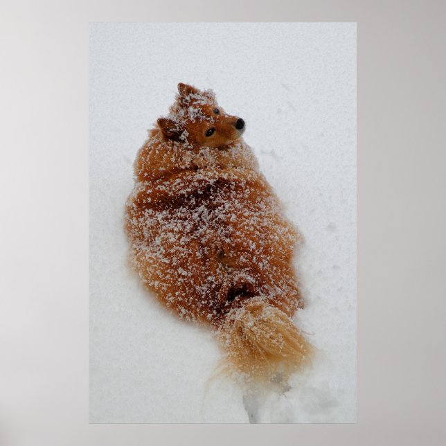 Póster ¿¿¿Qué??? (Frente)