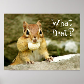 Póster ¿Qué dieta? Chipmunk Poster
