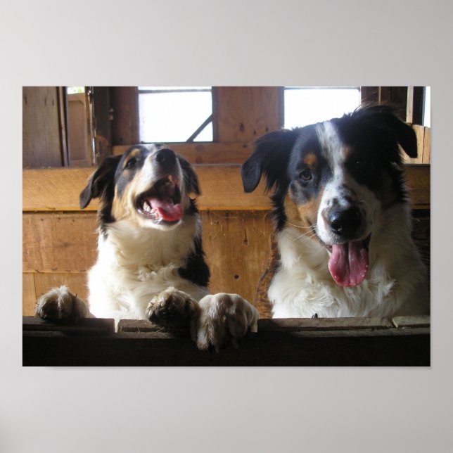 Póster ¡Qué Diversión! (Frente)