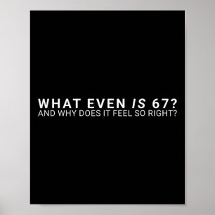 Póster ¿Qué es incluso el meme 67