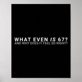 Póster ¿Qué es incluso el meme 67