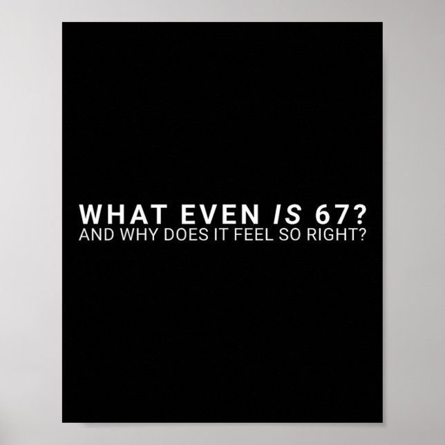 Póster ¿Qué es incluso el meme 67 (Frente)