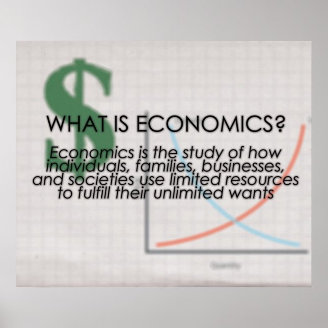 Póster ¿Qué es la economía? *ACTUALIZADO* (Frente)