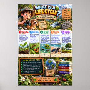 Póster ¿Qué es una infografía del ciclo de vida?