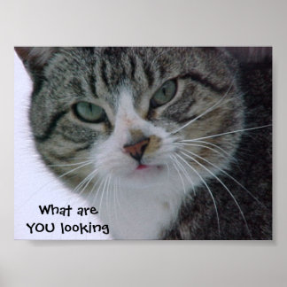 Póster ¿¡¿Qué estás mirando?!?