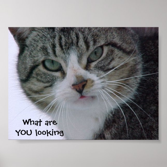 Póster ¿¡¿Qué estás mirando?!? (Frente)