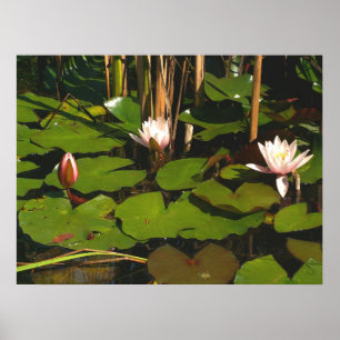 Póster ¿Qué hay debajo?