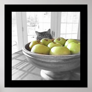 Póster ¿Qué hay para la cena? Poster