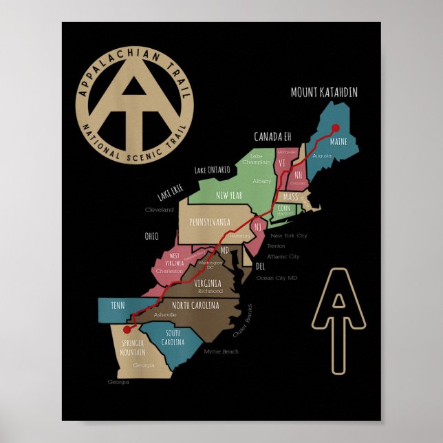 Póster ¿Qué le dijo la llama a su cita? "Quiere continuar (Frente)