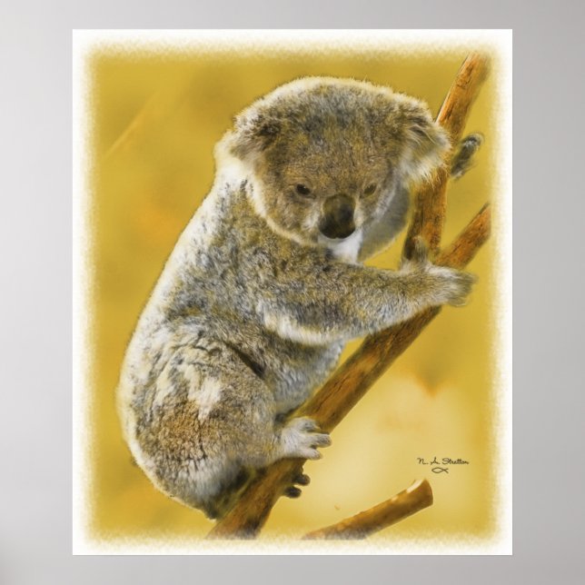 Póster ¡Qué lindo... Oso Koala... Poster e Imprenta! (Frente)