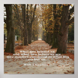 Póster "Qué miente dentro de nosotros "