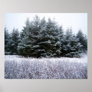 Póster Que Nieva Poster