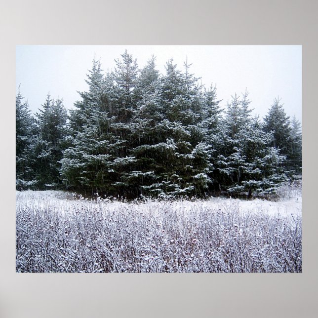 Póster Que Nieva Poster (Frente)