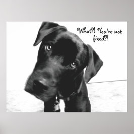 Póster ¿Qué? ¡¿No estás, arreglado?!