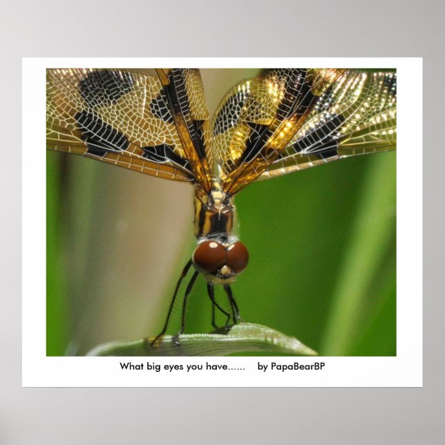 Póster Qué ojos tan grandes tienes.... ... (Frente)