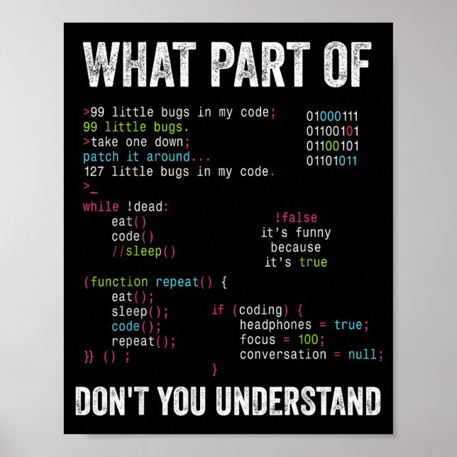 Póster Qué parte de No entiendes Ciencias de la Computaci (Frente)