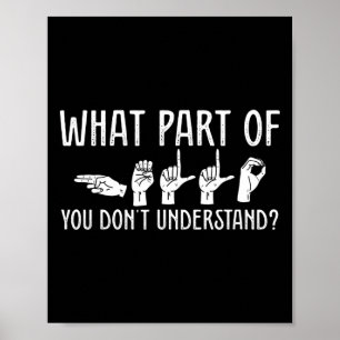 Póster ¿Qué parte de ti no entiende al profesor de diseño