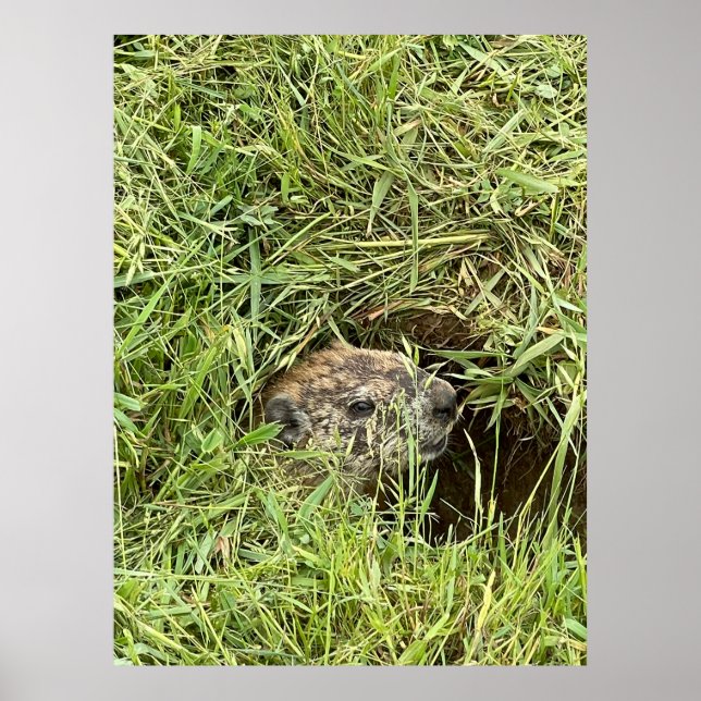 Póster ¿Qué pasa? (Frente)