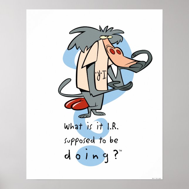 Póster ¿Qué se supone que debe hacer la I.R.?™ (Frente)