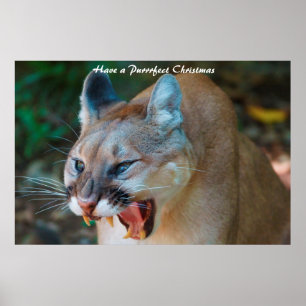 Póster Que tenga una Navidad Purrrfecta