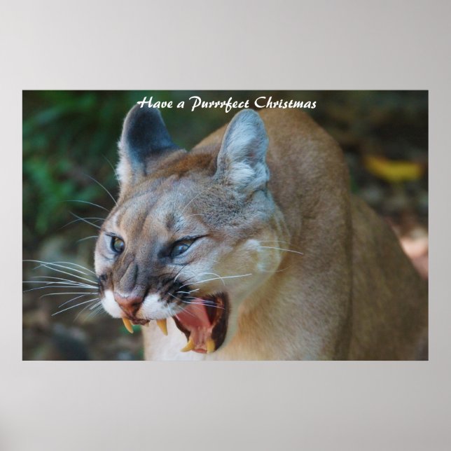 Póster Que tenga una Navidad Purrrfecta (Frente)
