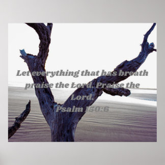 Póster Que todo lo que tiene respiro alabe al Señor