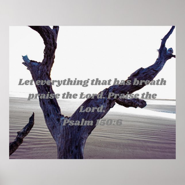 Póster Que todo lo que tiene respiro alabe al Señor (Frente)