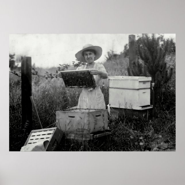 Póster QUEEN BEEKEEPER siglo XIX (Frente)