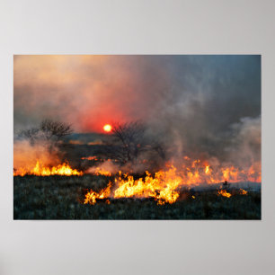 Póster Quema de pradera de Kansas al atardecer
