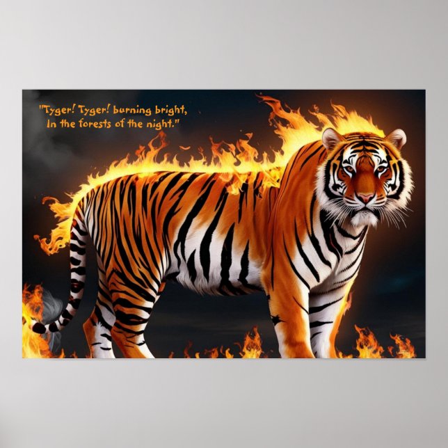 Póster Quema de tigres (Frente)