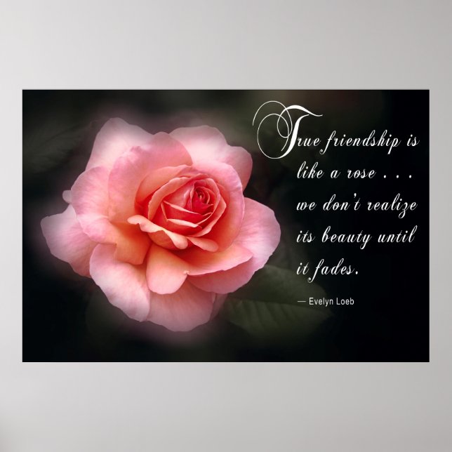 PÓSTER QUERIDO AMIGO (Frente)