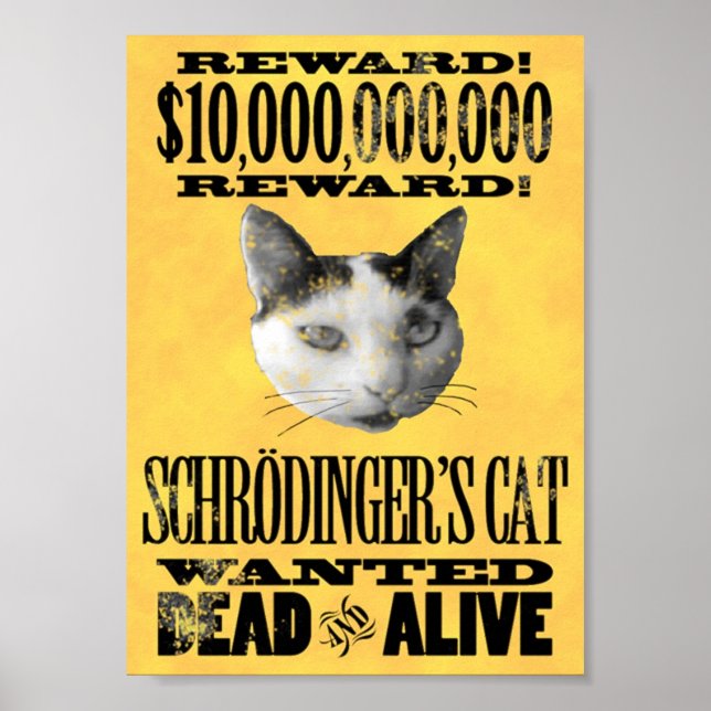 Póster QUERIDO: EL poster DE SCHRODINGER EN EL CAT (Frente)