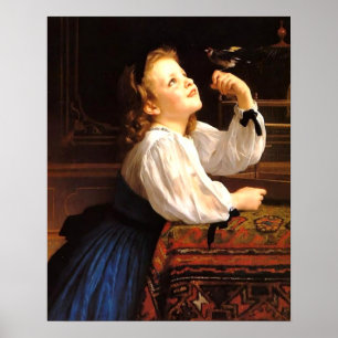 Póster Querido pájaro: Franz Dvorak