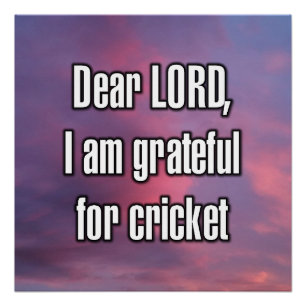 Póster Querido SEÑOR, estoy agradecido por el cricket