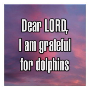 Póster Querido SEÑOR, estoy agradecido por los delfines