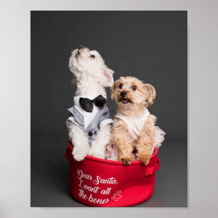 PÓSTER QUERRÉ TODOS LOS HUESOS.