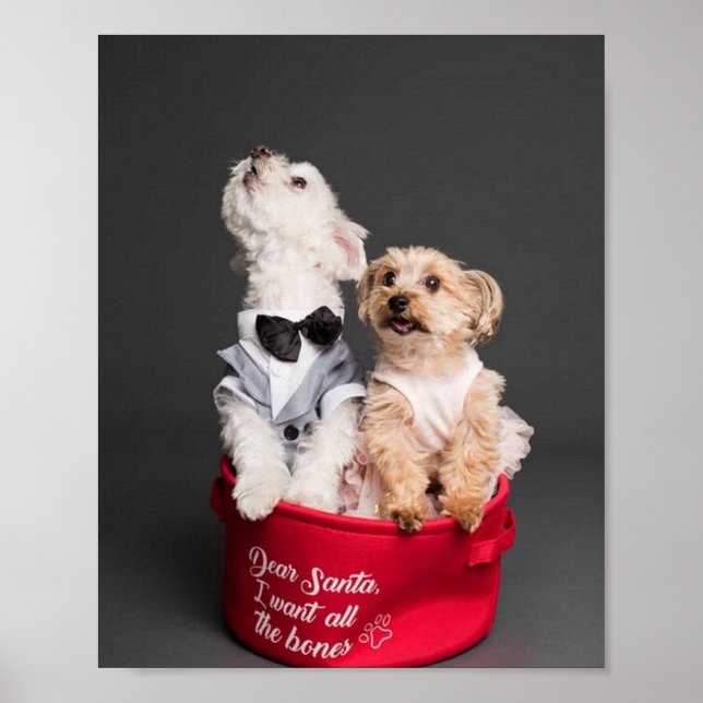 PÓSTER QUERRÉ TODOS LOS HUESOS. (Frente)