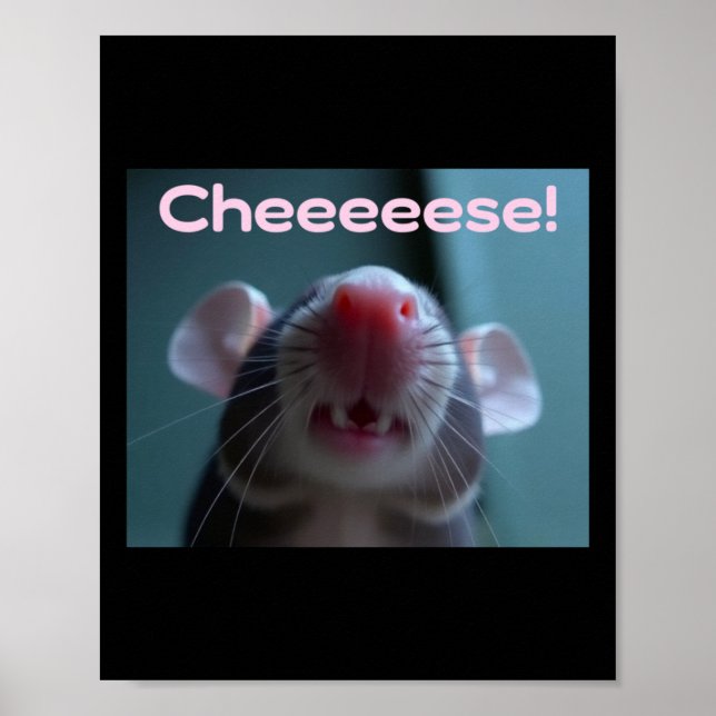 Póster ¡Queso! Pegatina de rata doméstica  (Frente)