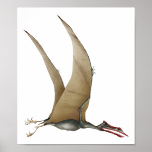 Póster Quetzalcoatlus