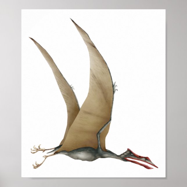 Póster Quetzalcoatlus (Frente)