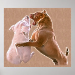 Póster ¿Quién es el líder del paquete?