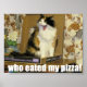 Póster ¿quién se comió mi pizza? Gracioso meme (Frente)