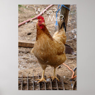 Póster ¿Quién usted pollo del call'in? Poster